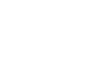 vec_waldvogel_Logo